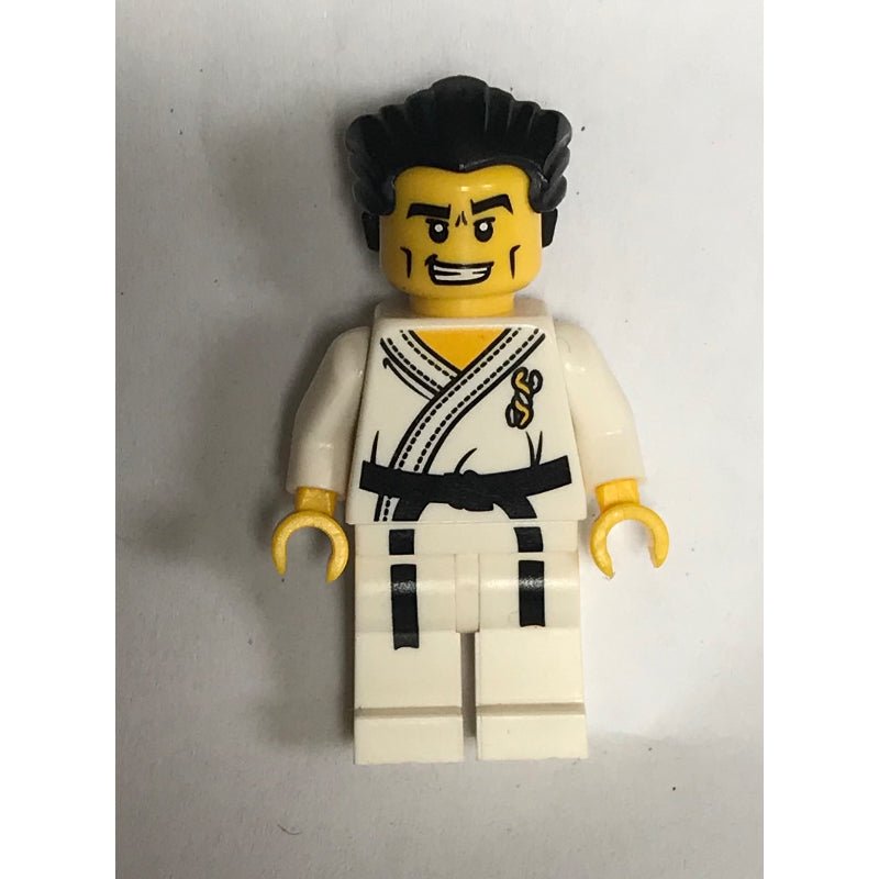 fig-000905 – Karate Master