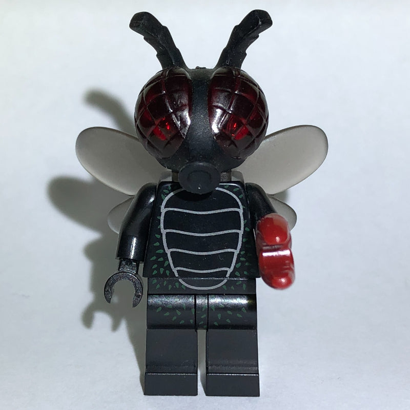 fig-001448 – Fly Monster