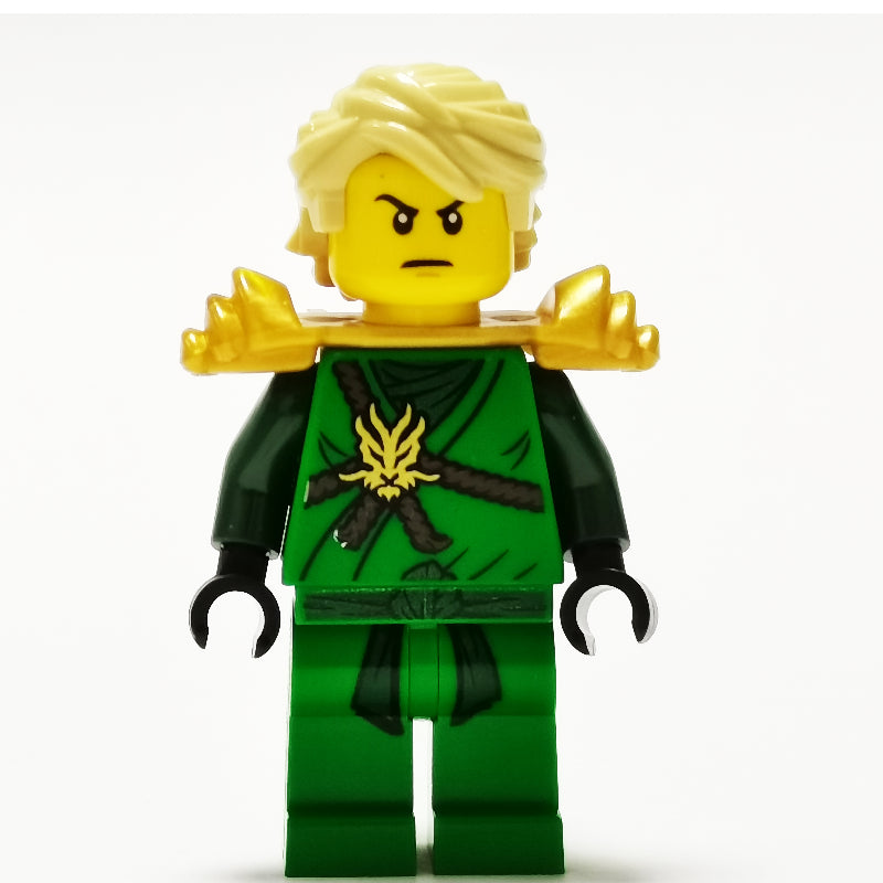 fig-001654 – Lloyd in Honor Robes and Hair (Day of the Departed)