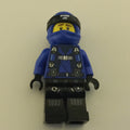 fig-001790 – Jay (Hunted)