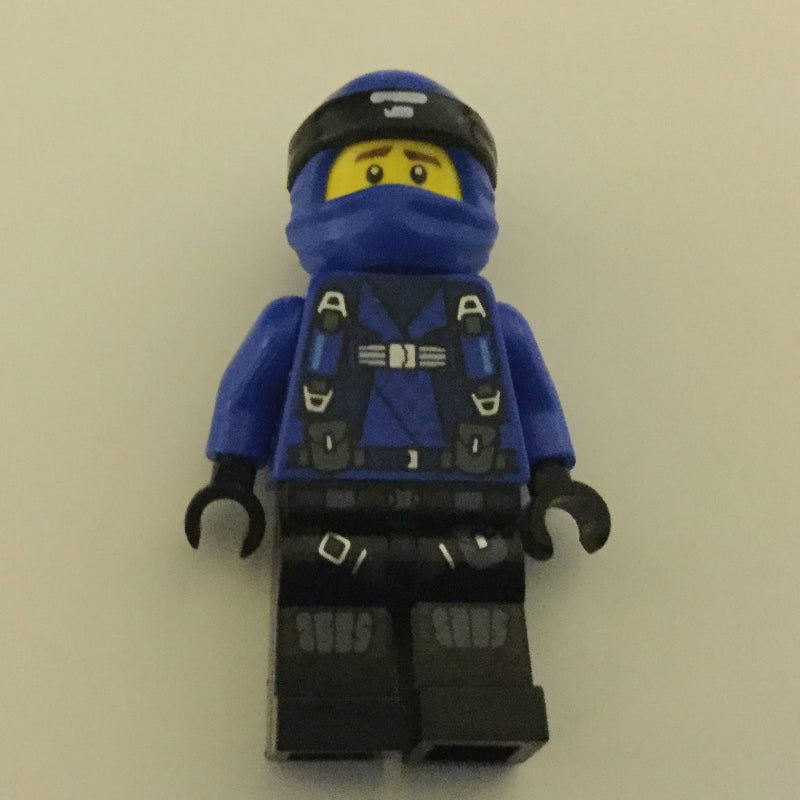 fig-001790 – Jay (Hunted)