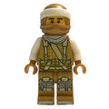 fig-001795 – Master Wu / Golden Dragon Master (Hunted)