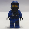 fig-001979 – Jay (Hunted)