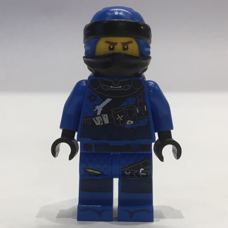 fig-001979 – Jay (Hunted)