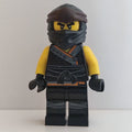 fig-002068 – Cole in Sons of Garmadon Robe (Legacy)
