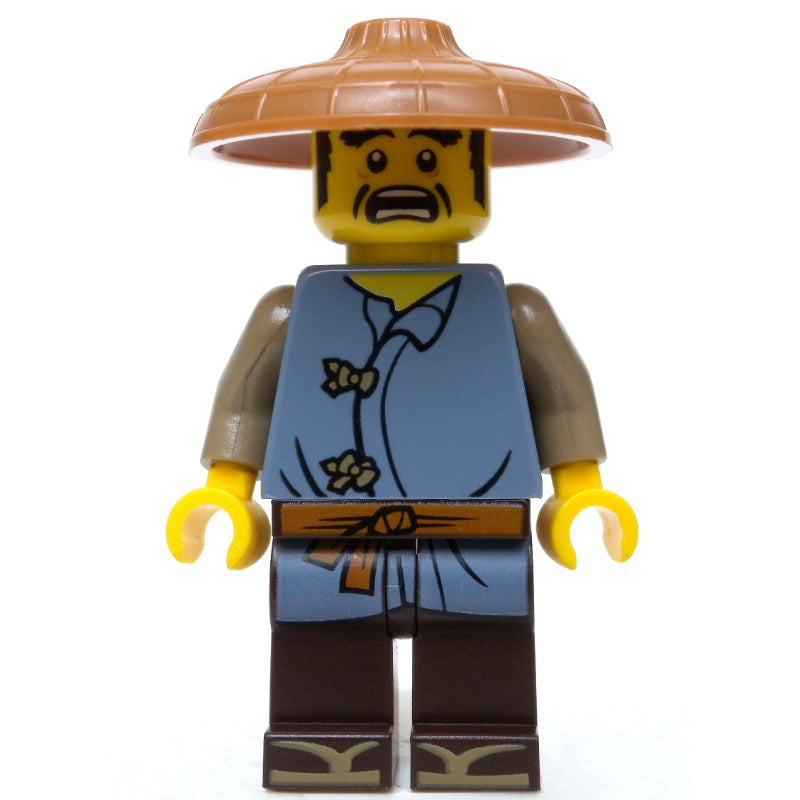fig-002876 – Ray with Conical Hat