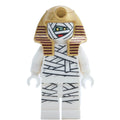 fig-003256 – Mummy / Dr. Najib