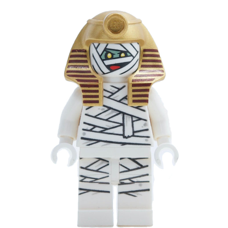 fig-003256 – Mummy / Dr. Najib