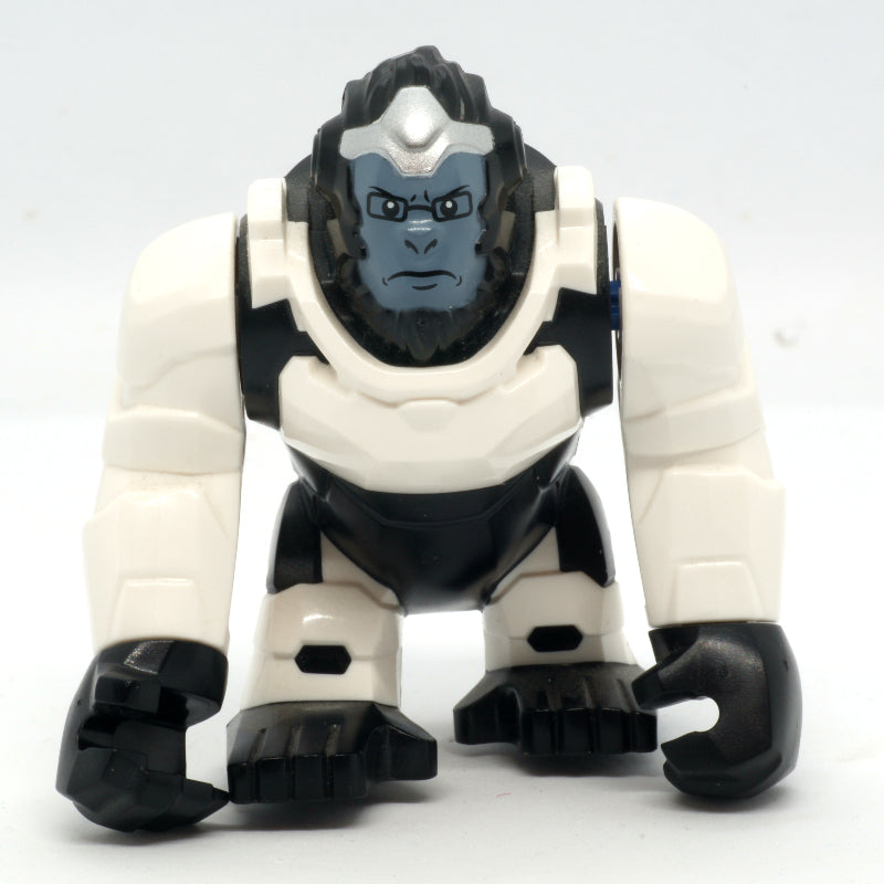 fig-003604 – Winston (Big Fig)
