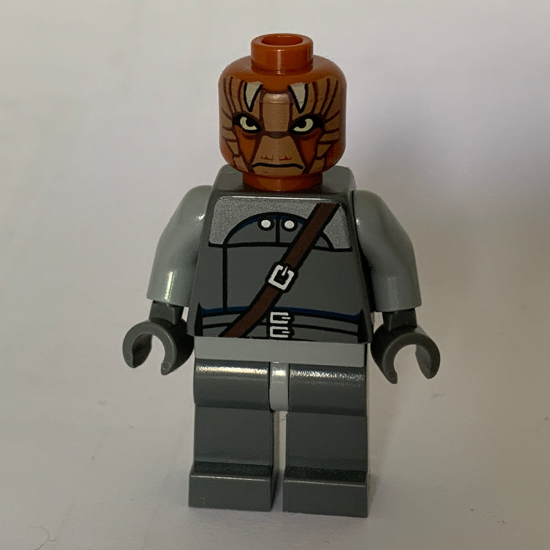 fig-003997 – Nikto Guard