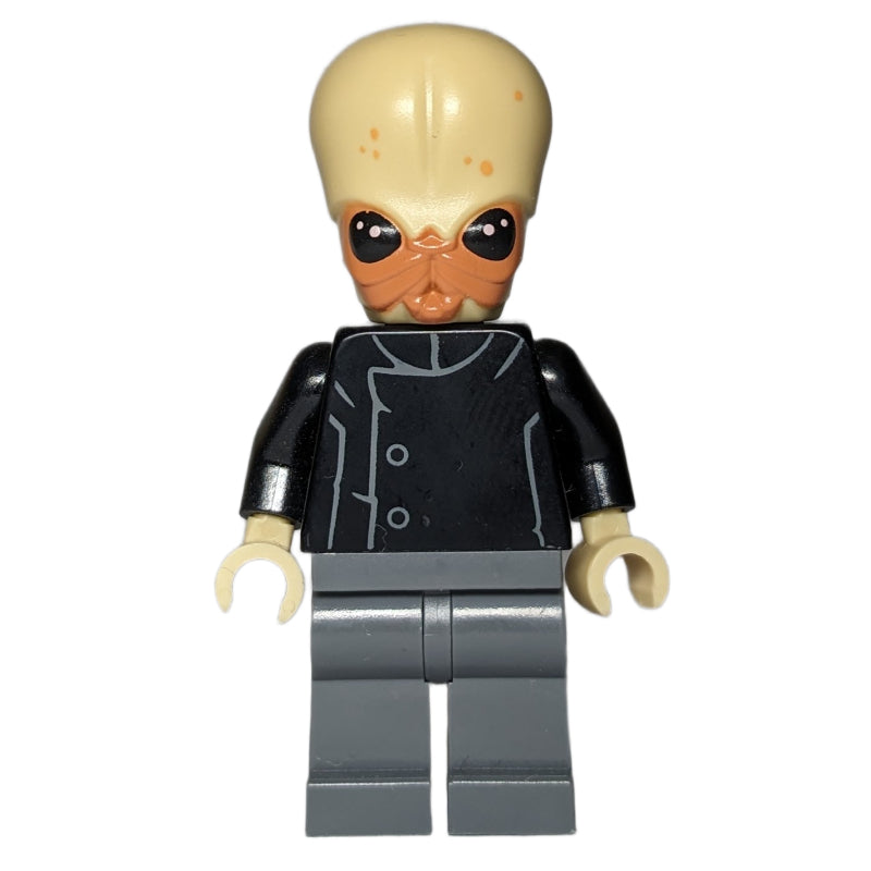 fig-004065 – Bith Musician