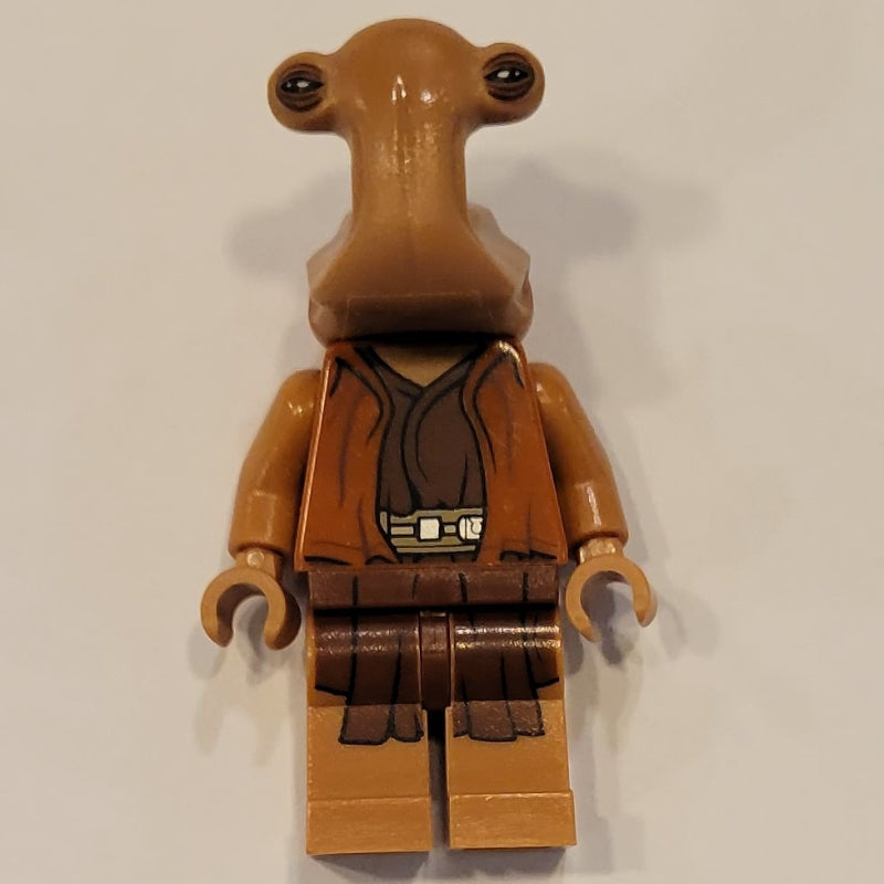fig-004069 – Ithorian Jedi Master