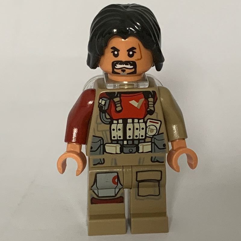 fig-004222 – Baze Malbus with Neck Bracket