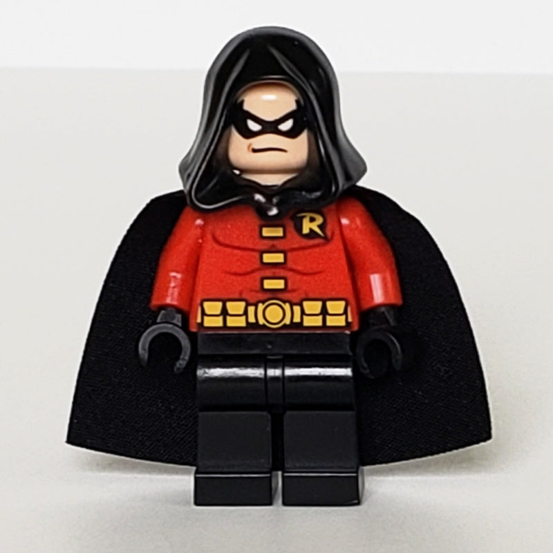 fig-004601 – Robin with Black Hood and Cape