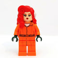 fig-004652 – Poison Ivy in Prison Clothes