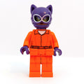 fig-004653 – Catwoman in Prison Clothes