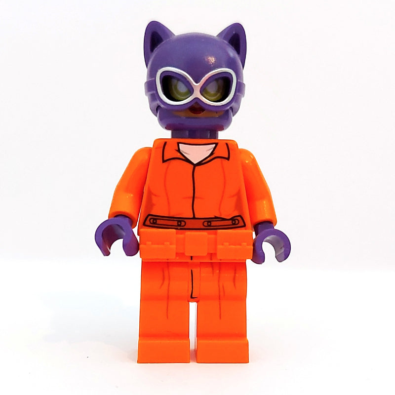 fig-004653 – Catwoman in Prison Clothes