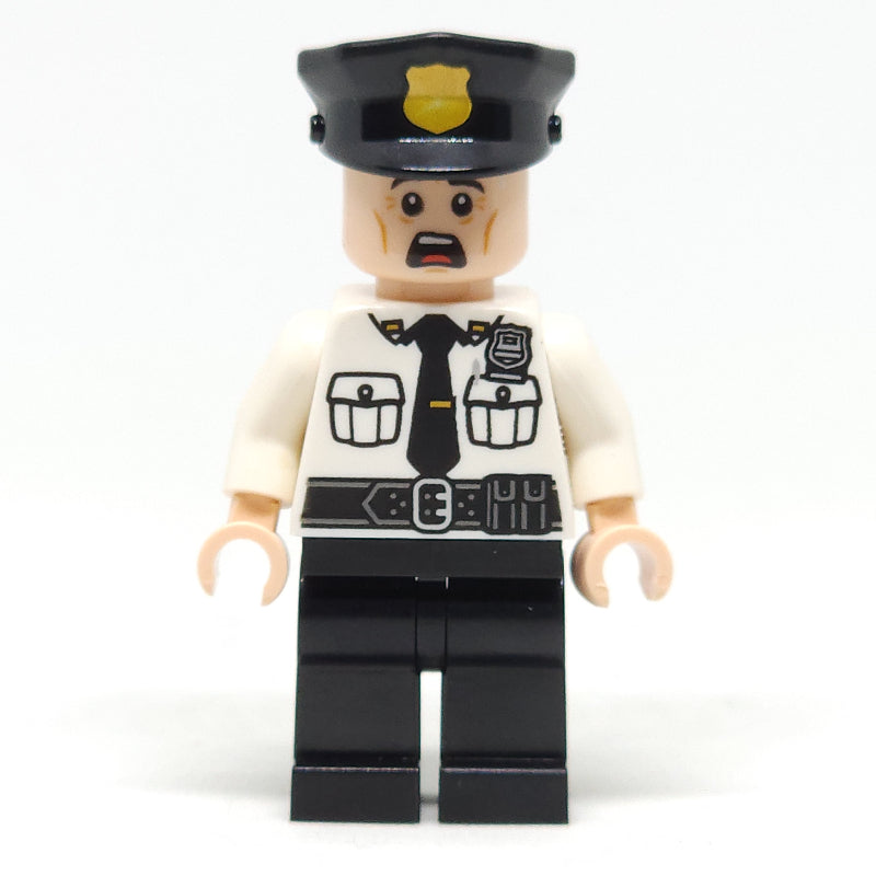 fig-004663 – Security Guard
