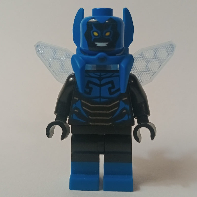 fig-005282 – Blue Beetle