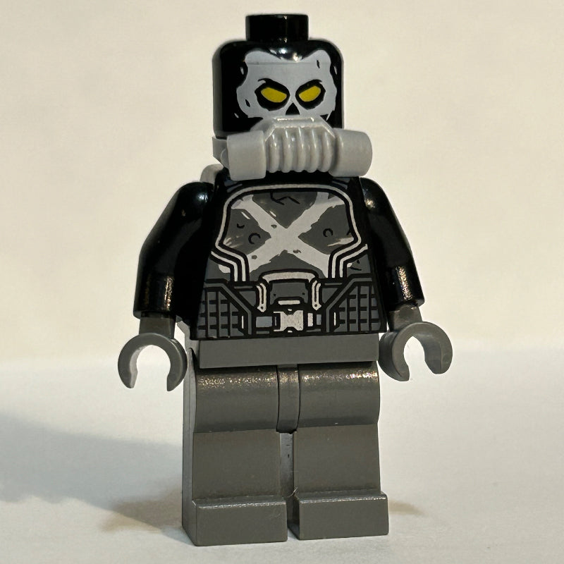 fig-005307 – Crossbones