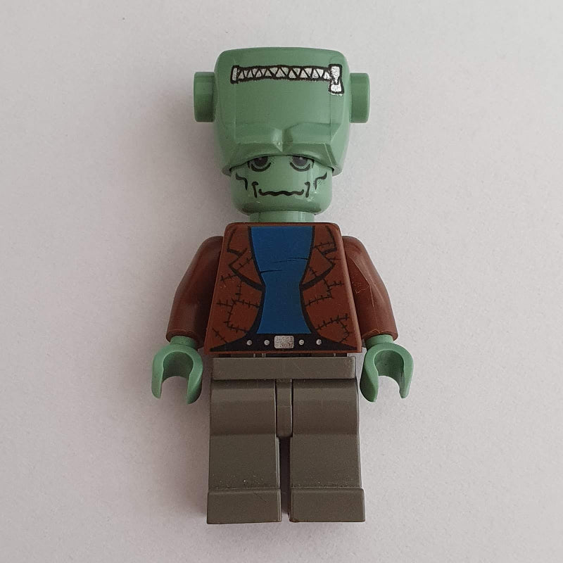 fig-005982 – Frankenstein's Monster