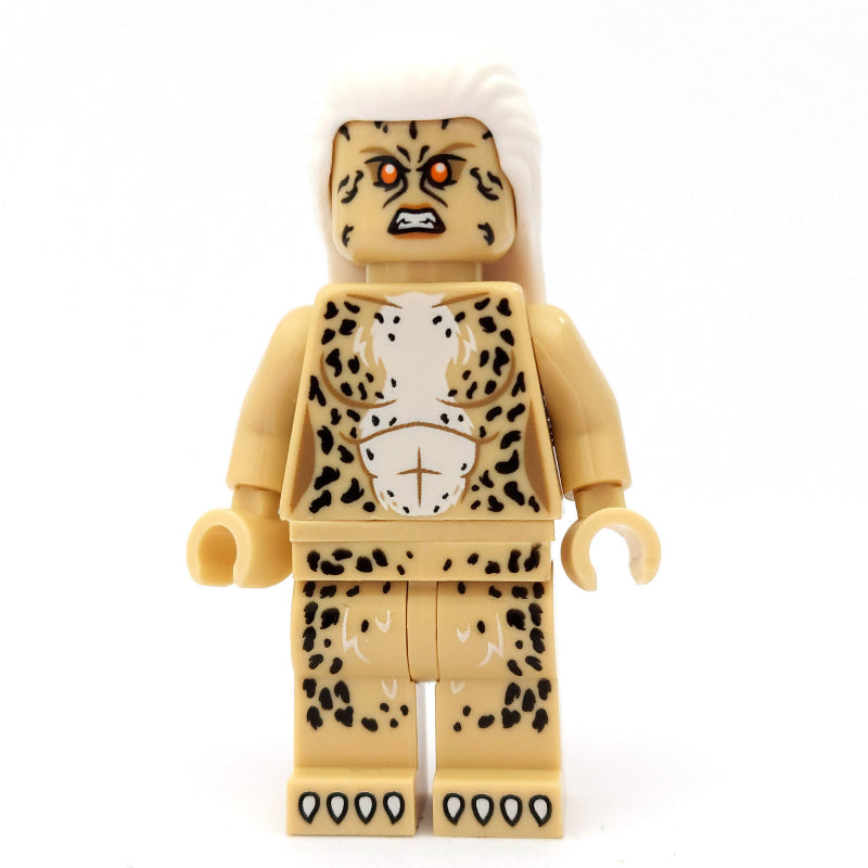 fig-007101 – Cheetah (Dr Barbara Minerva)
