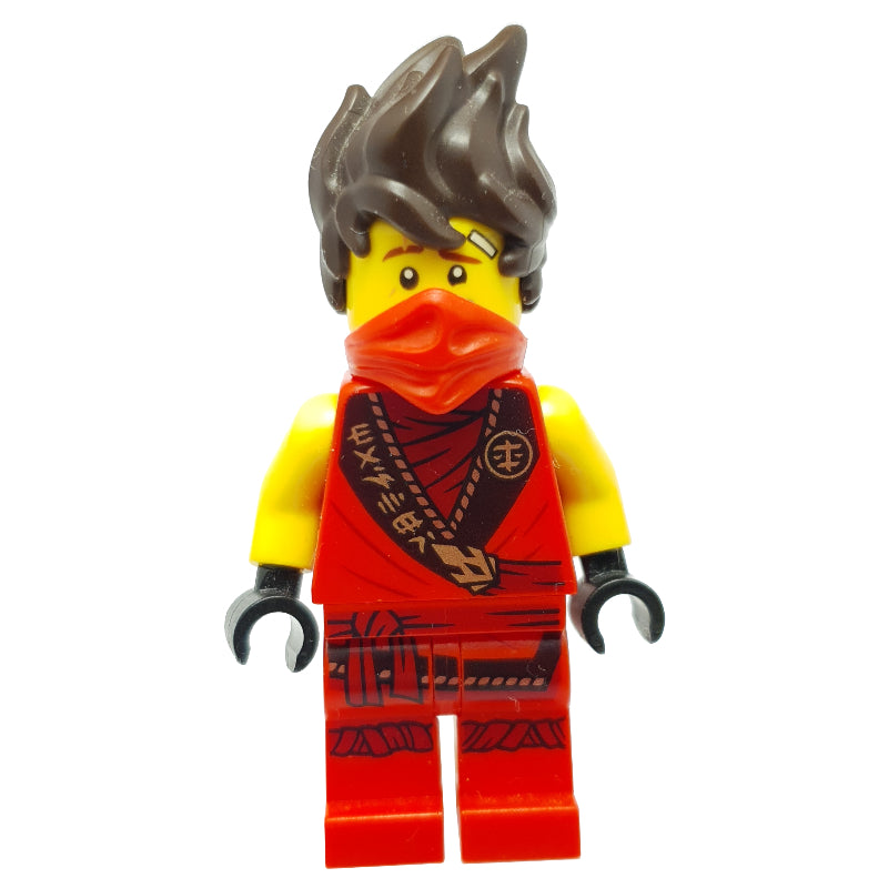fig-009091 – Kai with Hair (Legacy)