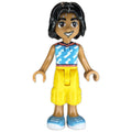 fig-010381 – Nabil