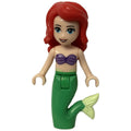 fig-010624 – Ariel