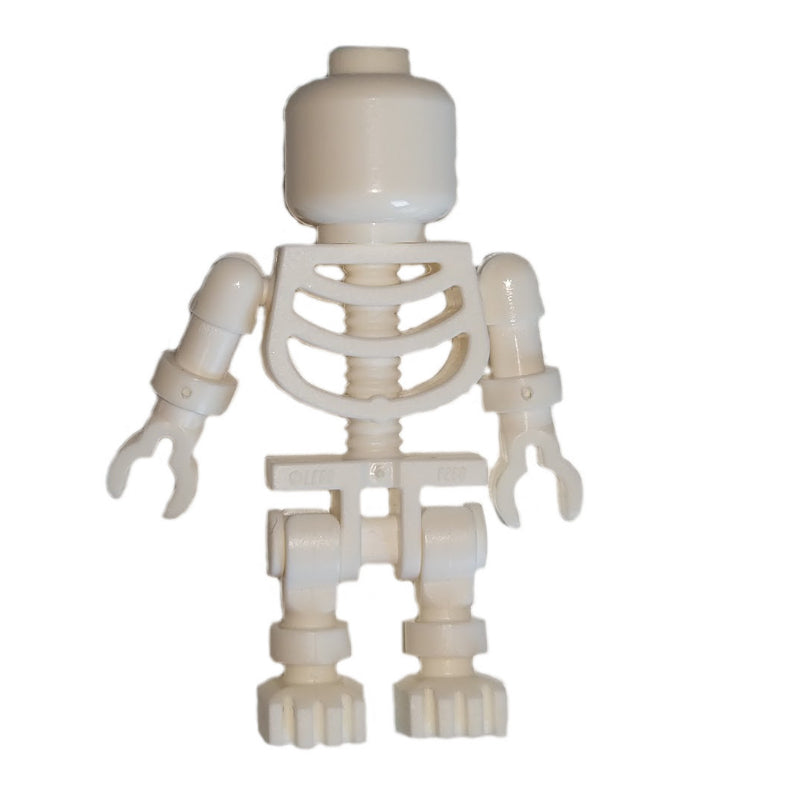 fig-010630 – Skeleton, Plain Head