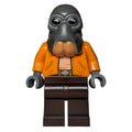 fig-010681 – Ponda Baba