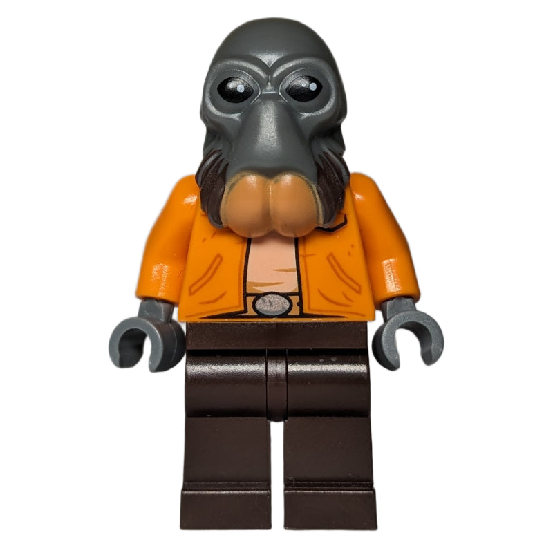 fig-010681 – Ponda Baba