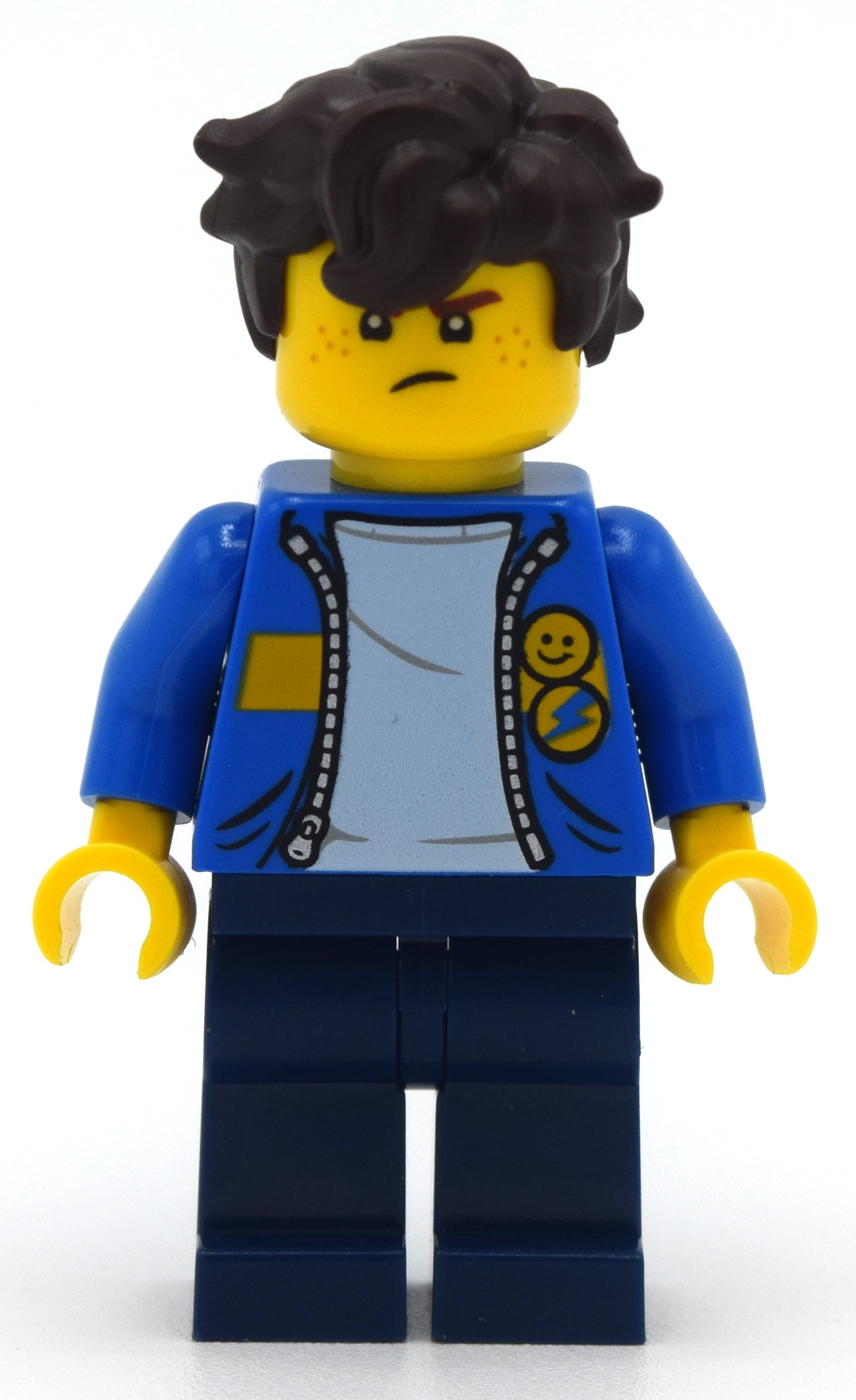 fig-010944 – Jay / Urban Jay