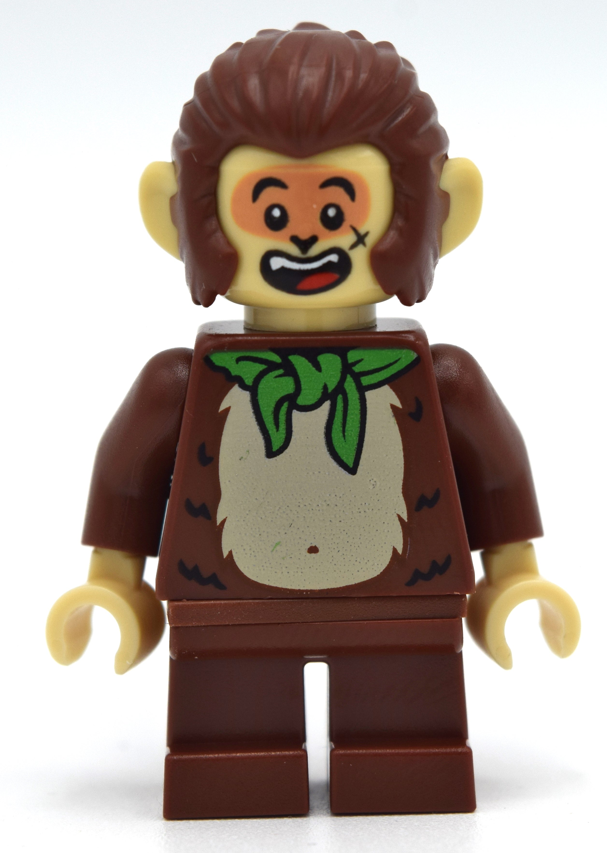 fig-011149 – Brother Monkey