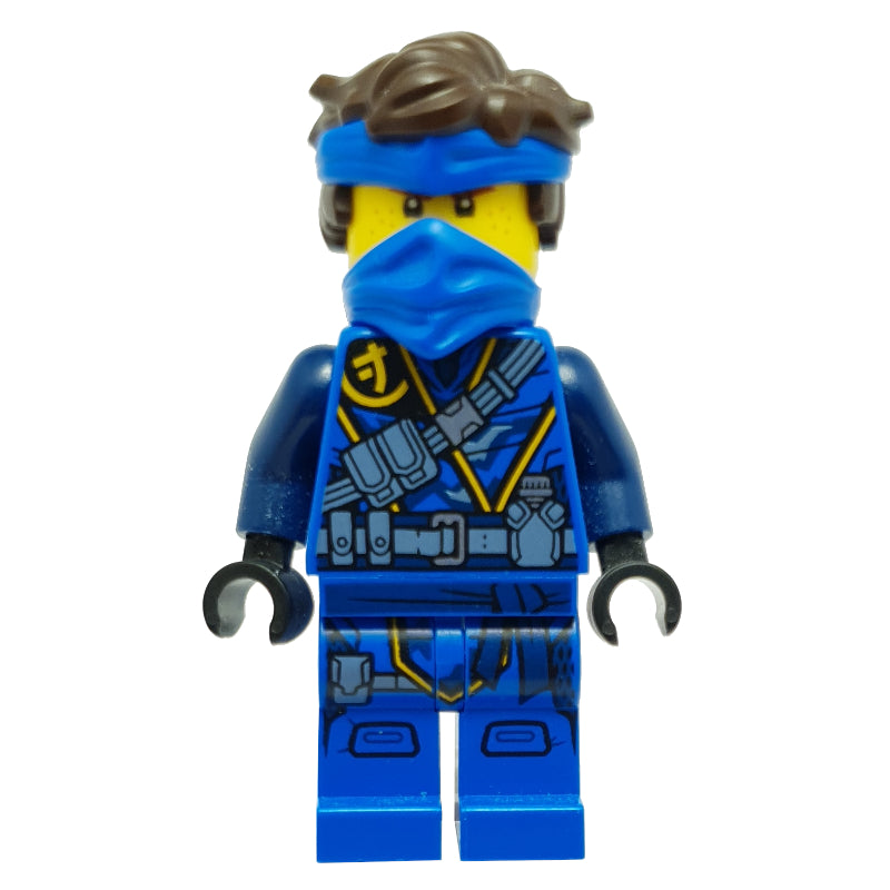fig-011248 – Jay (Islander)