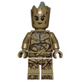 fig-011393 – Groot, Teen