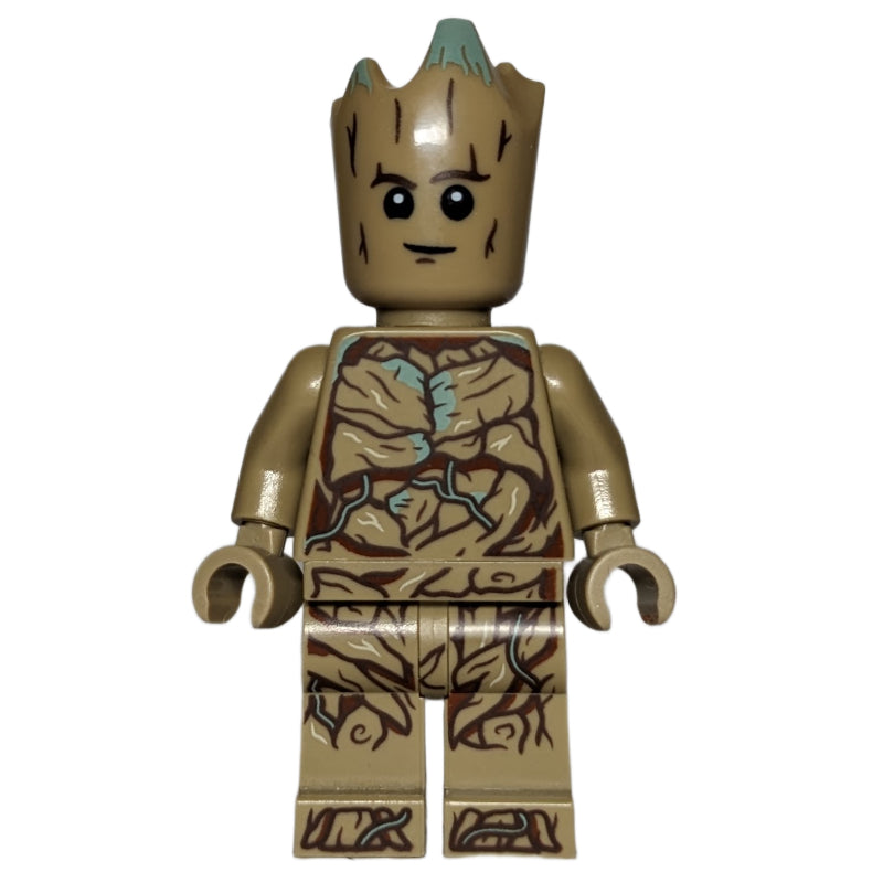 fig-011393 – Groot, Teen