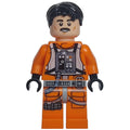 fig-012479 – Biggs Darklighter - Black Hair