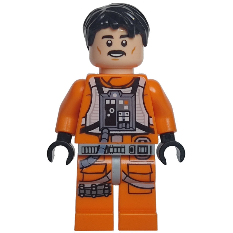 fig-012479 – Biggs Darklighter - Black Hair