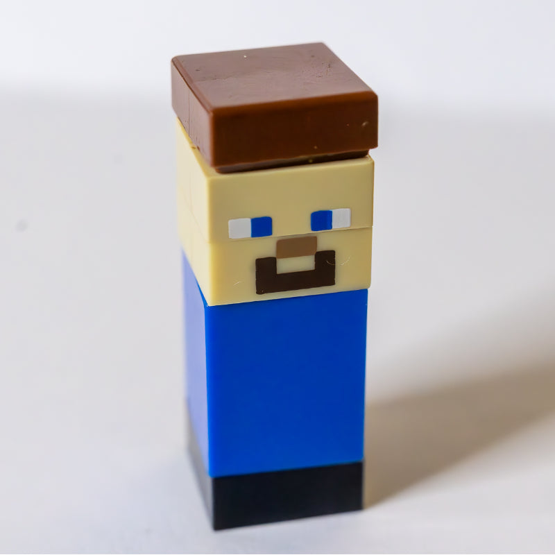 fig-012539 – Steve - Micro