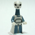 fig-012922 – Taun We