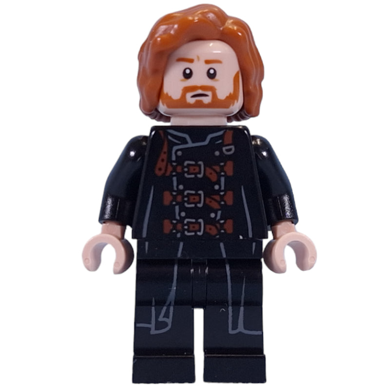 fig-014340 – Ron Weasley, Polyjuice Dragomir Despard Disguise