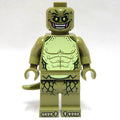 fig-014596 – The Lizard