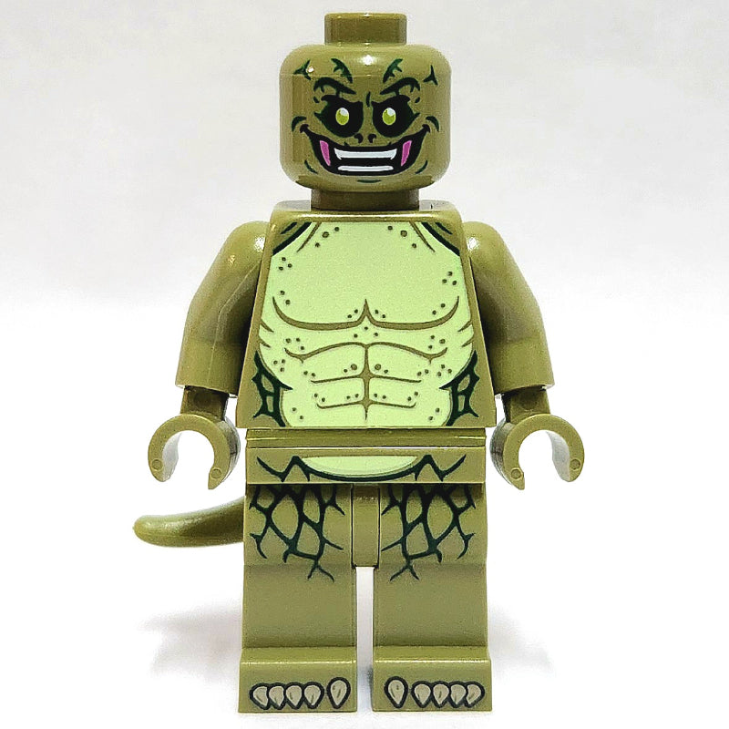 fig-014596 – The Lizard