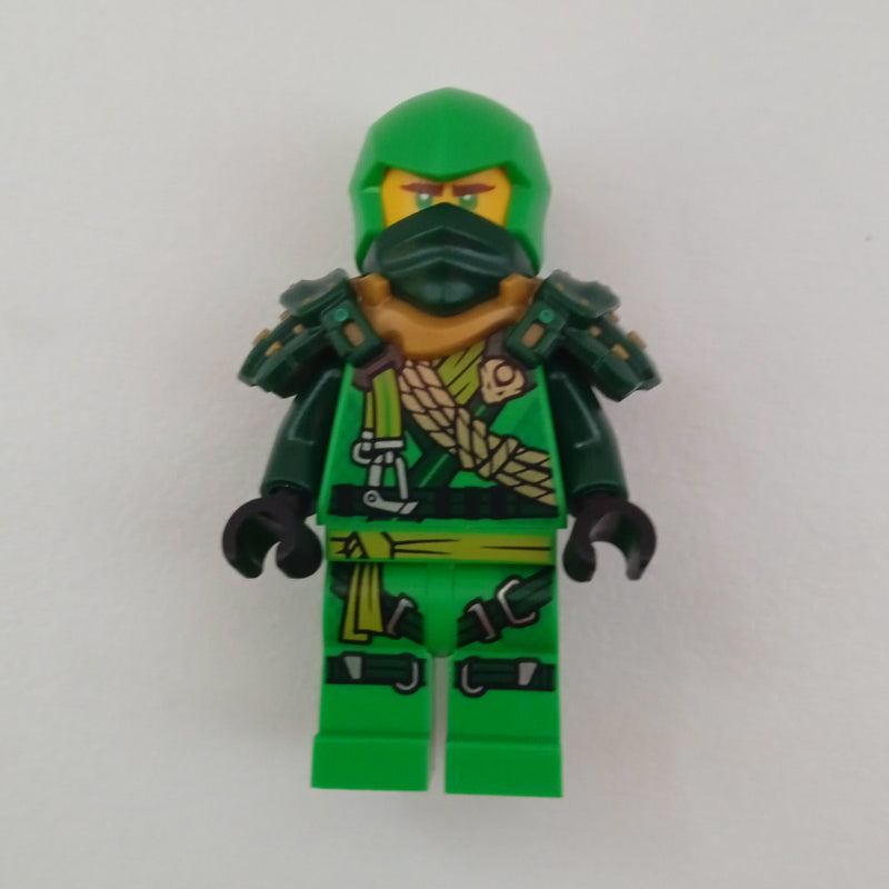 fig-014788 – Lloyd, Heavy Shoulder Guard
