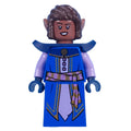 fig-014848 – Elf Wizard