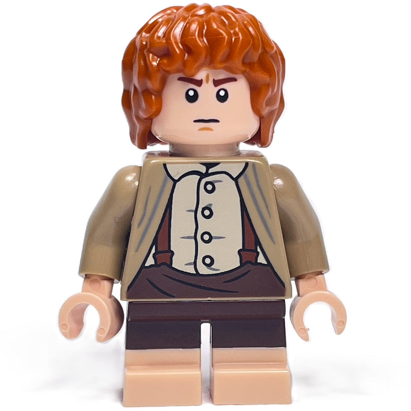 fig-015133 – Samwise Gamgee