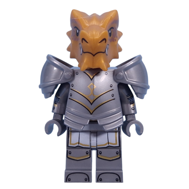 fig-015446 – Dragonborn Paladin