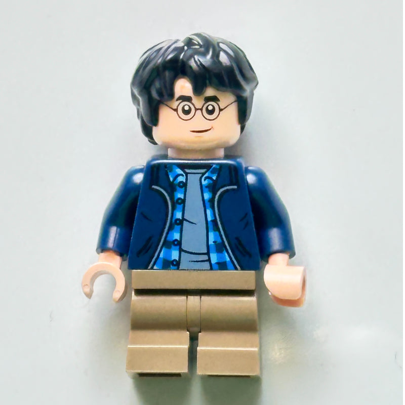 fig-016076 – Harry Potter