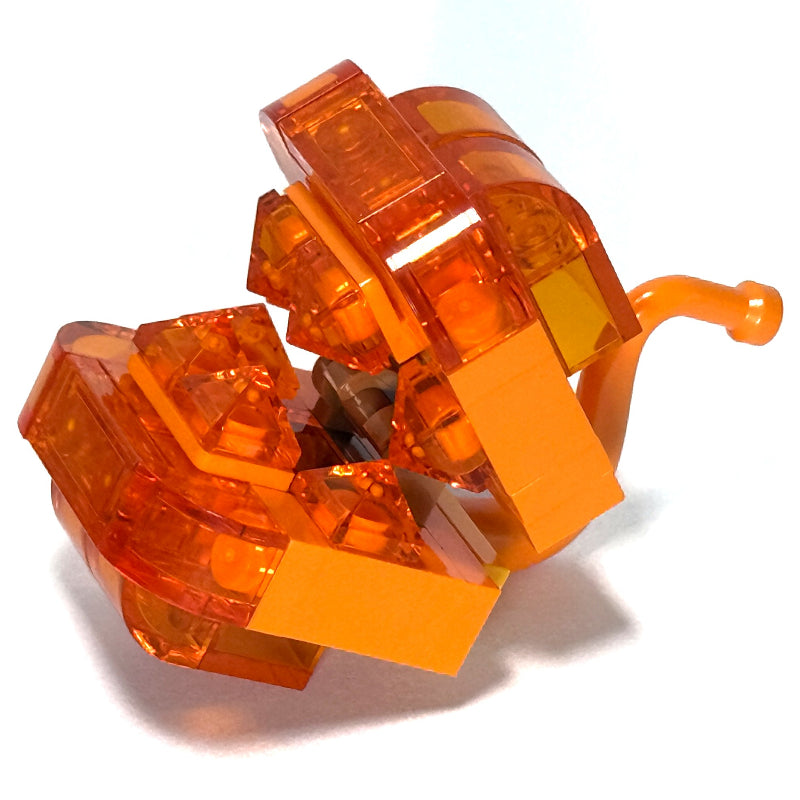 fig-016868 – Fiery Note Piranha